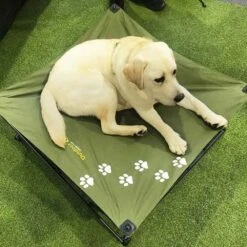 Large Dog Bed 18 Large Dog Bed -Nomad s Choice 0030669 large dog bed