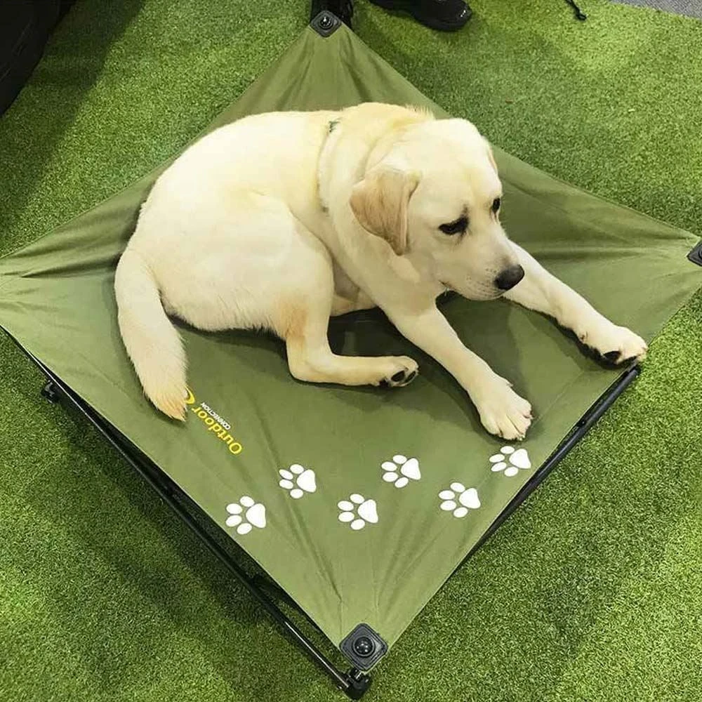 Large Dog Bed 8 Large Dog Bed - Image 8