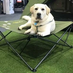 Large Dog Bed 19 Large Dog Bed -Nomad s Choice 0030670 large dog bed