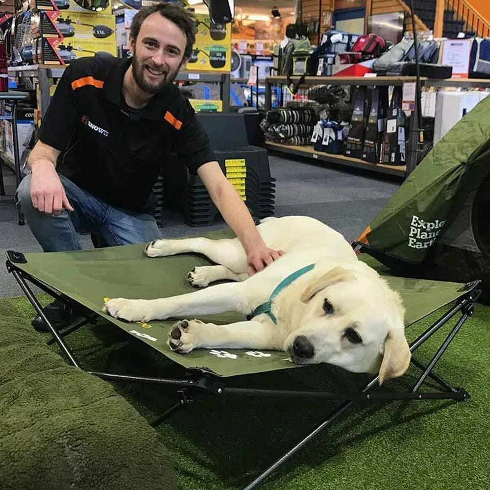 Large Dog Bed 10 Large Dog Bed - Image 10