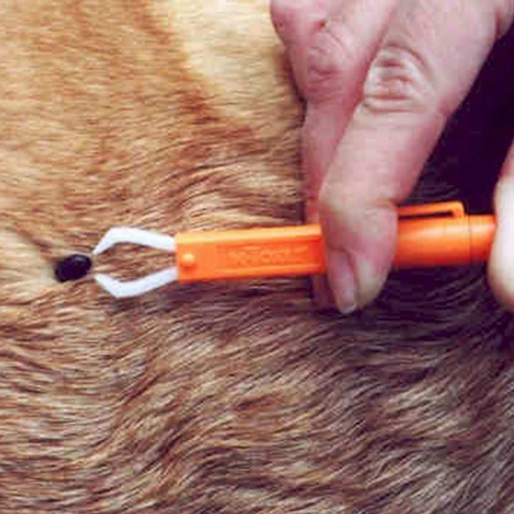 Tick Remover II With Clip 6 Tick Remover II With Clip - Image 6