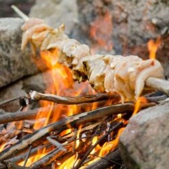 Fire To Fork Adventure Cooking − Harry Fisher -Nomad s Choice 1226950 fire to fork adventure cooking harry fisher