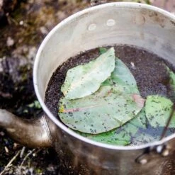 Fire To Fork Adventure Cooking − Harry Fisher -Nomad s Choice 1226951 fire to fork adventure cooking harry fisher