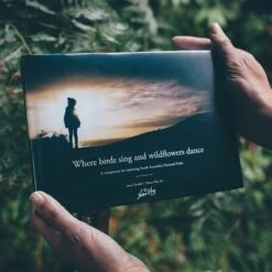 Where Birds Sing And Wildflowers Dance − Jason Tyndall -Nomad s Choice 1228543 where birds sing and wildflowers dance