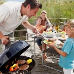 Bushman Insect Repellent Aerosol -Nomad s Choice 1256269 insect repellent aerosol