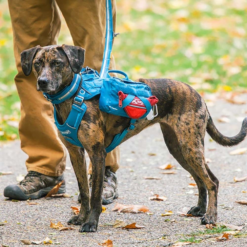 Kurgo RSG Dog County Harness -Nomad s Choice 1258315 rsg county harness coastal blue s