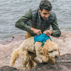 Kurgo RSG Dog County Harness -Nomad s Choice 1259214 rsg county harness coastal blue s