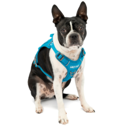 Kurgo RSG Dog County Harness -Nomad s Choice 1259215 rsg county harness coastal blue s